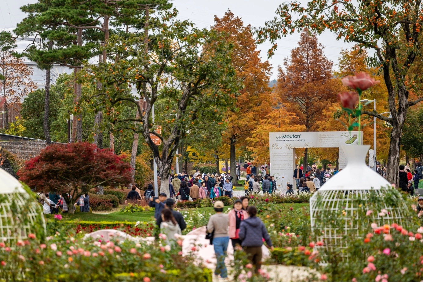 순천만국가정원의 가을 정원 모습