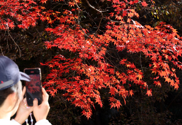 14일 전북 순창군 강천산군립공원에서 관광객들이 단풍을 배경으로 사진을 찍고 있다. 2025.11.14  연합뉴스