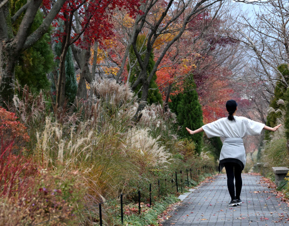 포근한 날씨를 보인 23일 과천 서울대공원에서 한 시민이 산책을 하고 있다. 2025.11.23  연합뉴스