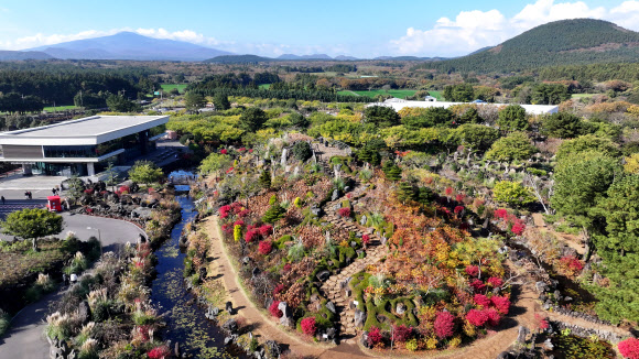 24일 오전 제주시 구좌읍 송당리 동화마을을 찾은 방문객들이 늦가을 정취를 즐기고 있다. 2025.11.24. 연합뉴스