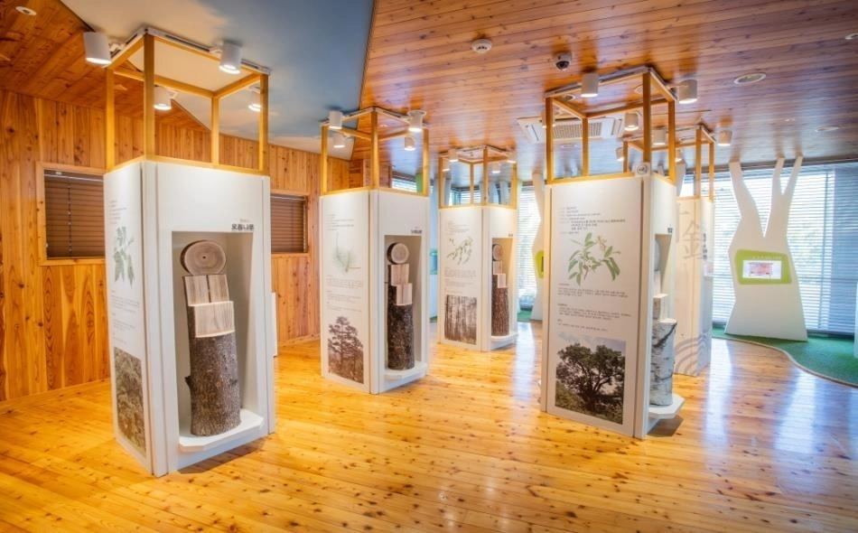 목재문화체험관 전시·체험 시설. 경남도 제공