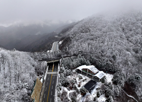 겨울이 오는 길