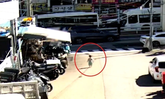 A군이 위험천만하게 도로를 활보하고 있는 모습. 군포경찰서 제공