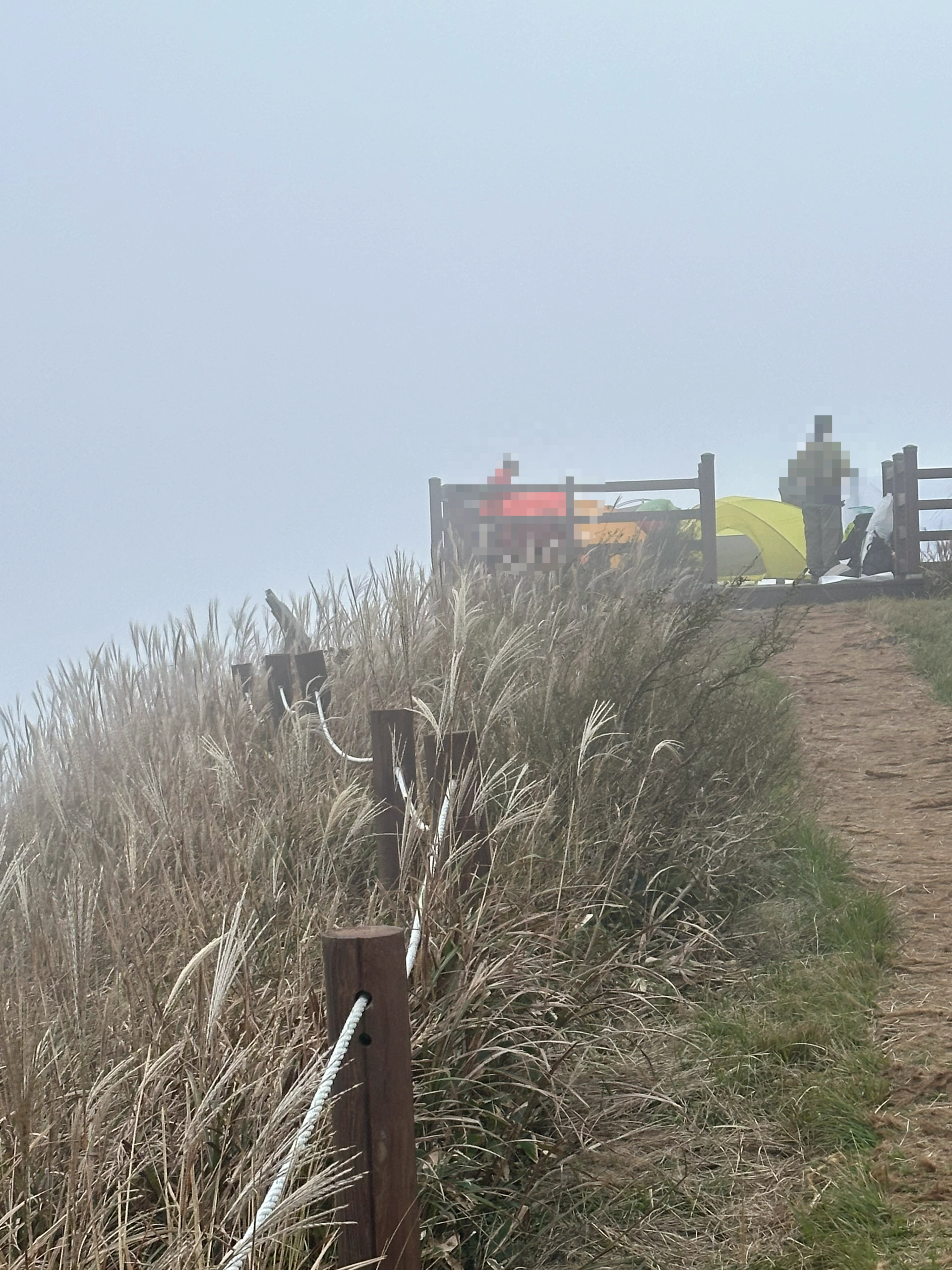 지역주민이 지난 10월  찍은 사진. 제주도청 홈페이지 캡처