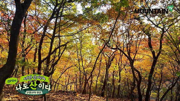 예봉산 정상 가는 길에 만난 단풍 군락. 마운틴TV 제공