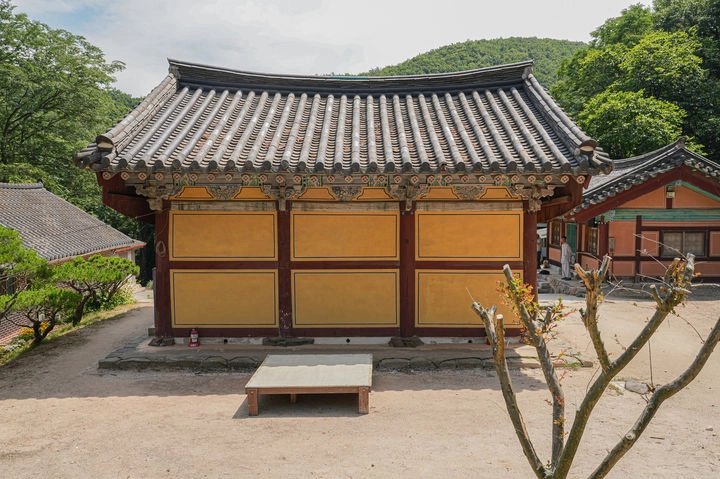 ‘안성 청원사 대웅전’ 뒷면의 모습. 기둥 위에 돌출된 부재(출목)와 끝부분을 날개형태로 조각한 부재를 함께 사용한 출목 익공계 공포로 구성됐다.
국가유산청 제공