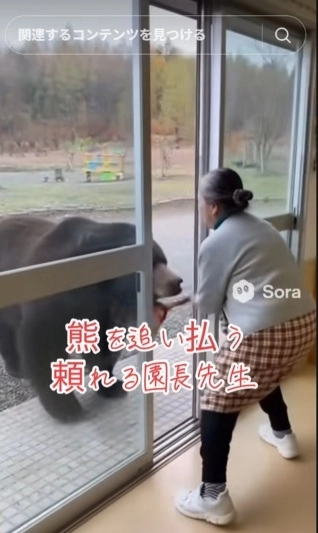 인공지능을 이용해 제작된 가짜 곰 영상. 틱톡 캡처