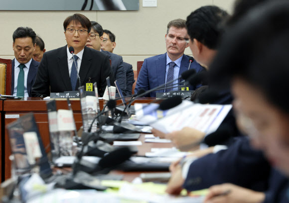 답변하는 박대준 쿠팡 대표