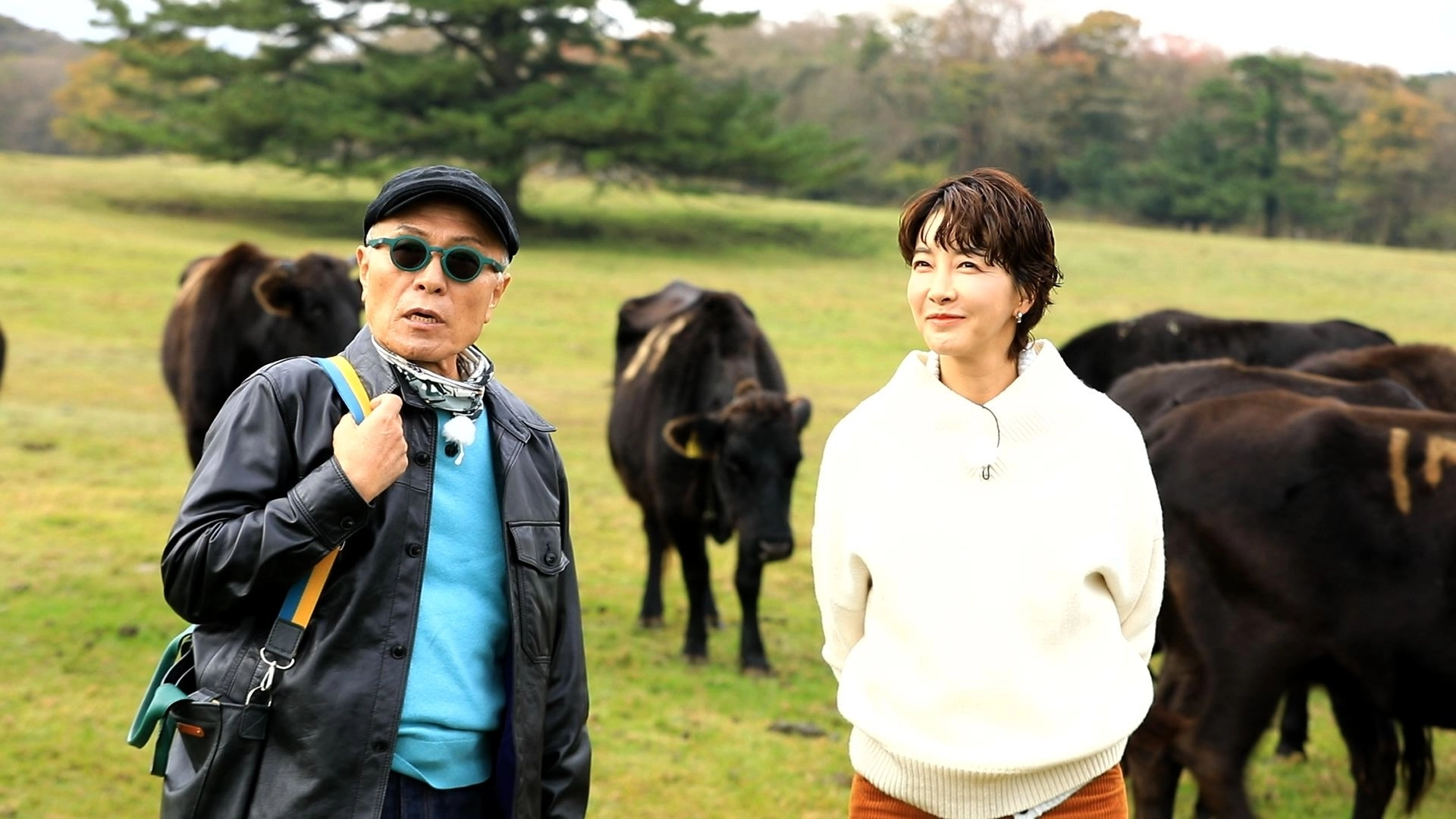 14일 방영될 2부에서는 배우 진서연씨가 참여해 제주의 맛집을 소개한다. 제주관광공사 제공