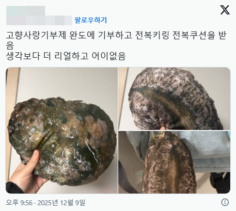 전남 완도군이 고향사랑기부제 답례품으로 제공하는 ‘전복 쿠션’과 ‘전복 키링’. 한 네티즌이 전복 쿠션을 받아 소셜미디어(SNS)에 올렸다. 자료 : 엑스