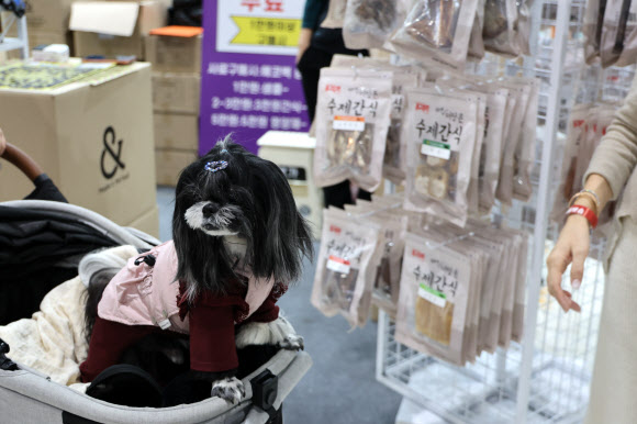 ‘간식 사주세요’