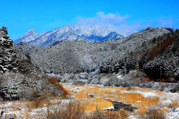대설이 만든 겨울 풍경화