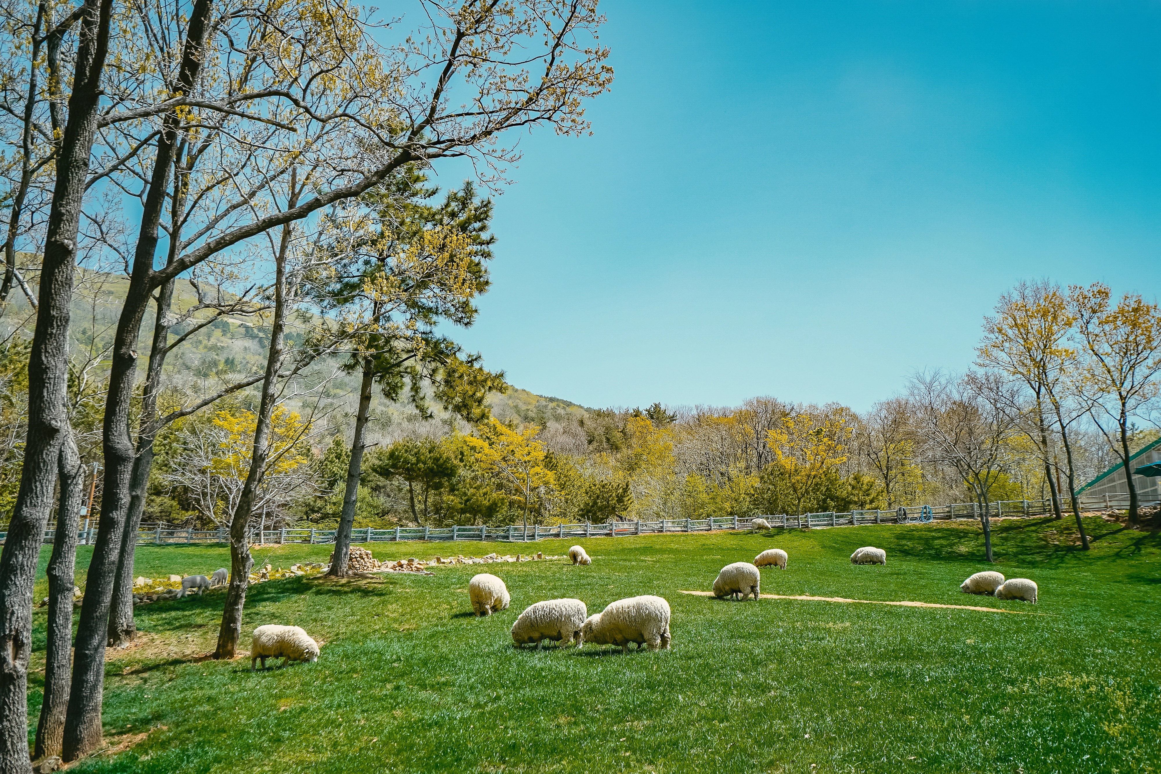 거제 대표 관광지로 꼽히는  숲소리공원. 
거제시 제공