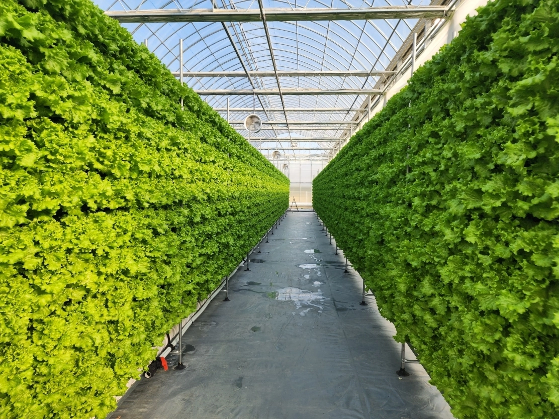 아산시  스마트팜 전경. 시 제공