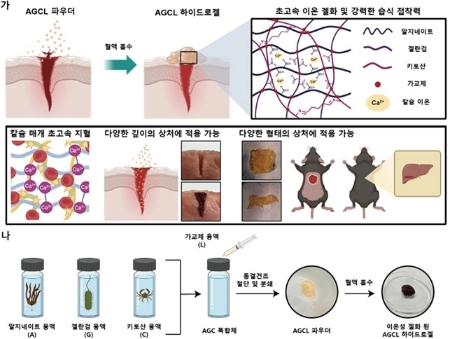 AGCL 파우더 개발 전략과 제작 개략도. 한국과학기술원(KAIST) 제공