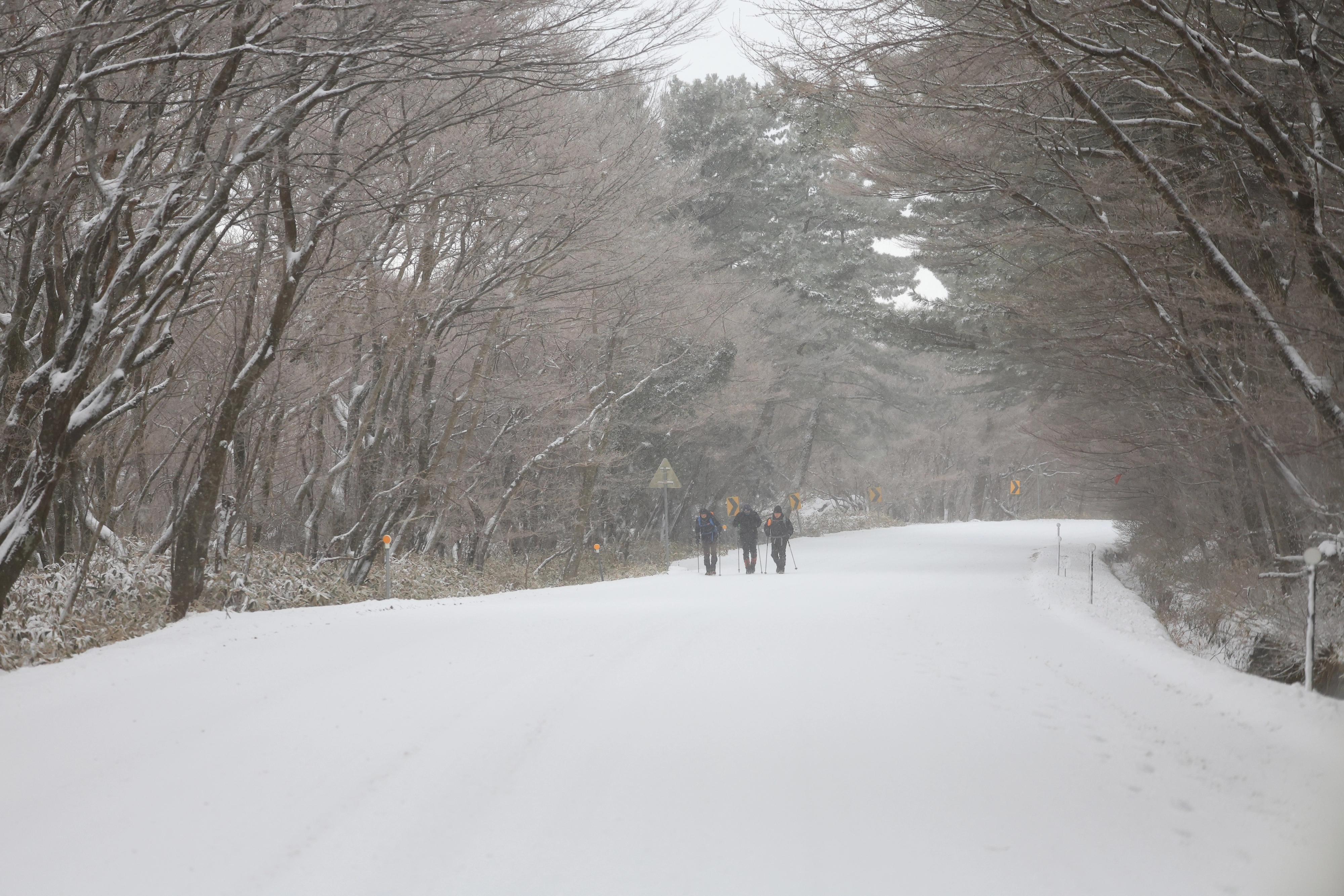 겨울왕국으로 가는 길  제주도에 대설과 강풍, 풍랑특보가 내려진 2일 오전 등반객들이 제주시 1100도로를 타고 어리목으로 향하고 있다. 연합뉴스
