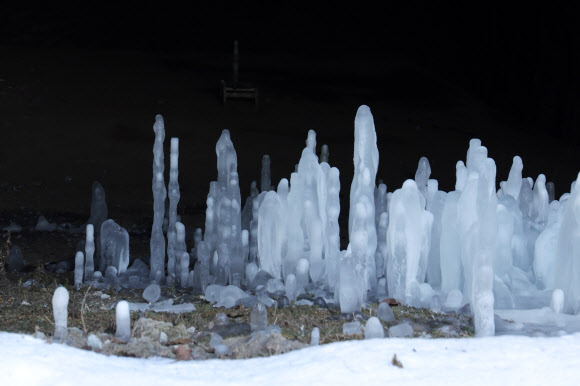 한파에 자라나는 연천 역고드름