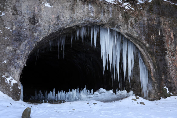 한파에 자라나는 연천 역고드름