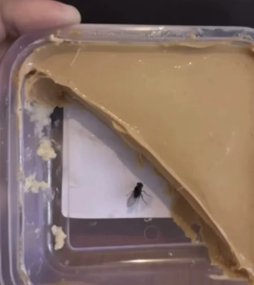 인공지능(AI)을 악용해 음식 사진을 조작한 뒤 환불을 요구하는 신종 사기가 영국에서 확산되고 있다. SNS 캡처