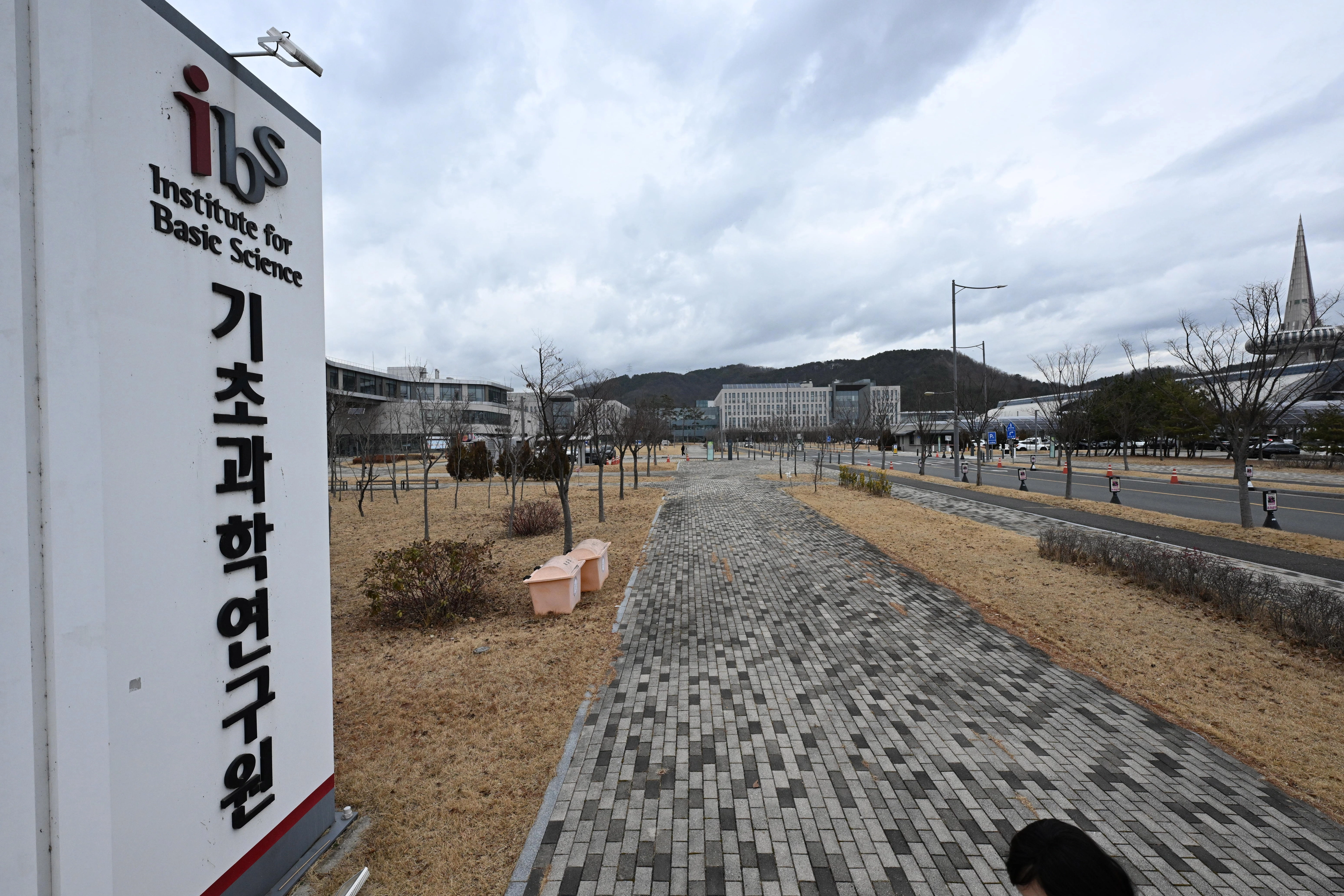 지난달 23일 기초과학연구원 앞 거리가 텅 비어 있는 모습.
대전 도준석 전문기자