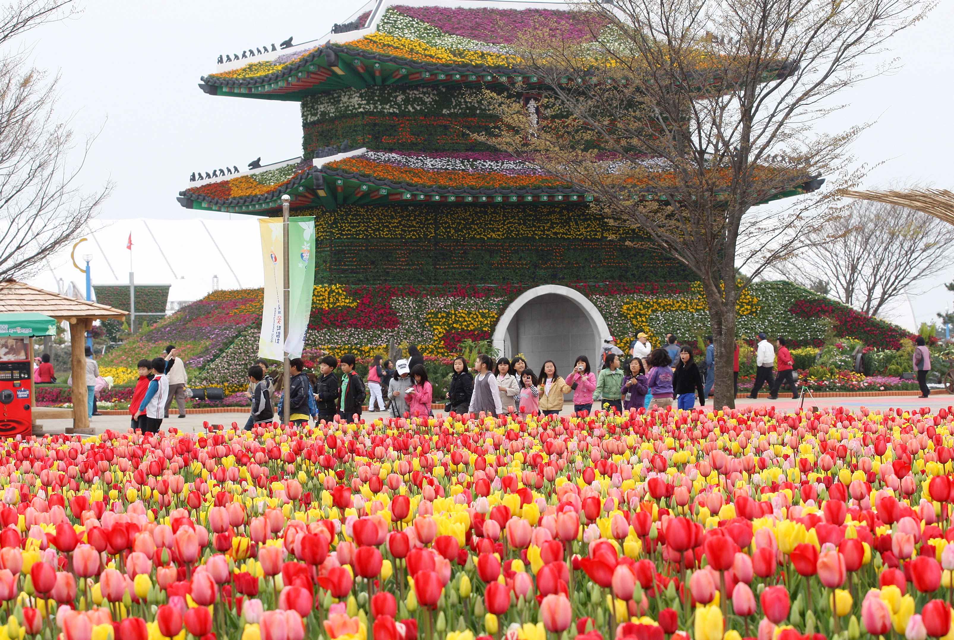 꽃지해안공원에서 2009년 개최된 ‘안면도 꽃박람회’를 찾은 시민들이 만개한 튤립을 감상하고 있다.
박람회 조직위원회 제공