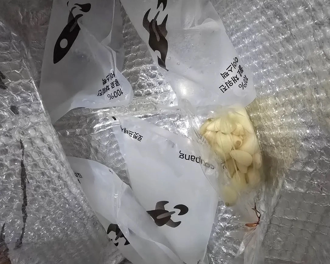 쿠팡의 과대포장 문제가 또 다시 도마 위에 올랐다. 사진은 한 누리꾼이 “로켓프레시 박스로 받기 했다가 8박스가 문 앞에 있었다”며 “문제는 박스 크기도 큰데 아이스팩도 하나씩 들어 있는 것도 아니고 여러 개 들어 있었다”고 지적하며 올린 사진. 스레드 캡처