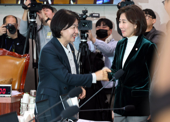 7일 국회에서 열린 법제사법위원회 전체회의에서 더불어민주당 소속 추미애 위원장(왼쪽)과 국민의힘 나경원 의원이 악수하고 있다. 2026.1.7 연합뉴스