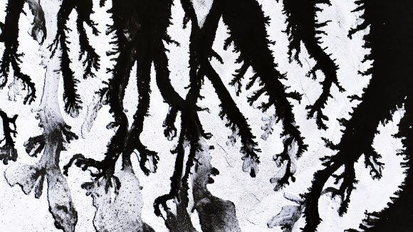 매서운 추위가 다시 찾아온 8일 경기도 화성시 우정읍 갯벌이 얼어있다. 2026.1.8  연합뉴스