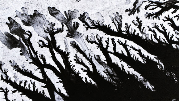 매서운 추위가 다시 찾아온 8일 경기도 화성시 우정읍 갯벌이 얼어있다. 2026.1.8  연합뉴스