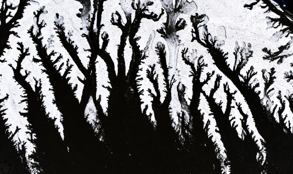 매서운 추위가 다시 찾아온 8일 경기도 화성시 우정읍 갯벌이 얼어있다. 2026.1.8  연합뉴스