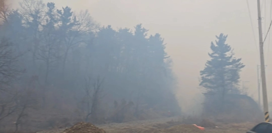 경북 의성 산불 대응 2단계…주민 대피령  10일 오후 3시 14분쯤 경북 의성군 의성읍 비봉리의 한 야산에서 불이 나 당국이 진화하고 있다. 2026.1.10. 뉴스1