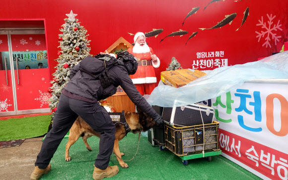 경찰특공대, 산천어 축제장서 안전 활동 강화