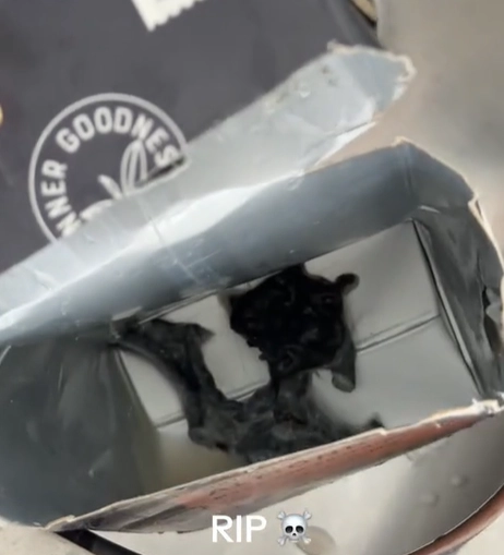 대형 할인점에서 구매한 아몬드 우유 제품에서 정체불명의 검은 물체를 발견했다는 한 호주 여성의 주장이 나와 논란이 일고 있다. 틱톡 캡처