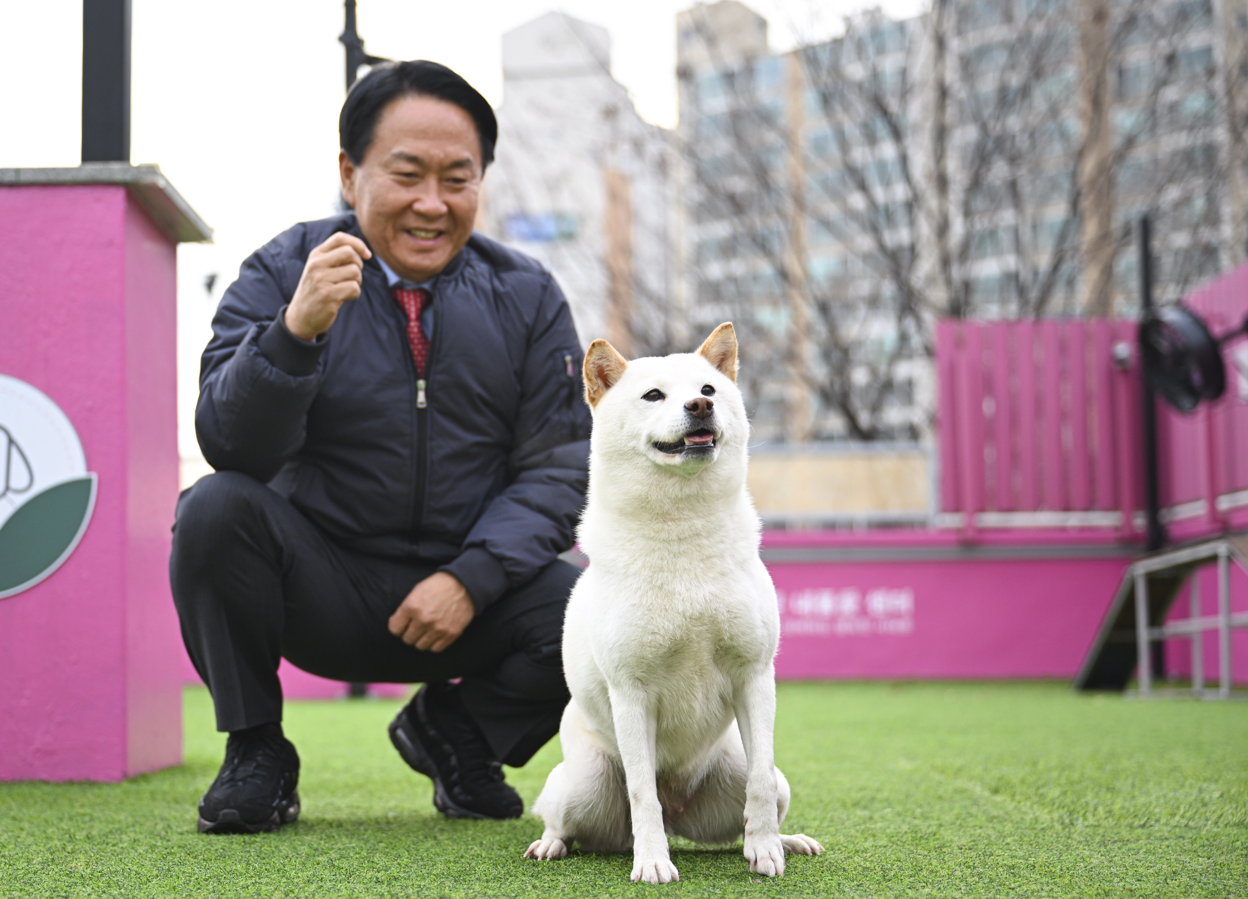 이성헌 서대문구청장이 지난 9일 홍은동 내품애센터 옥상에서 시바견 ‘설기’를 훈련하고 있다.
이지훈 기자