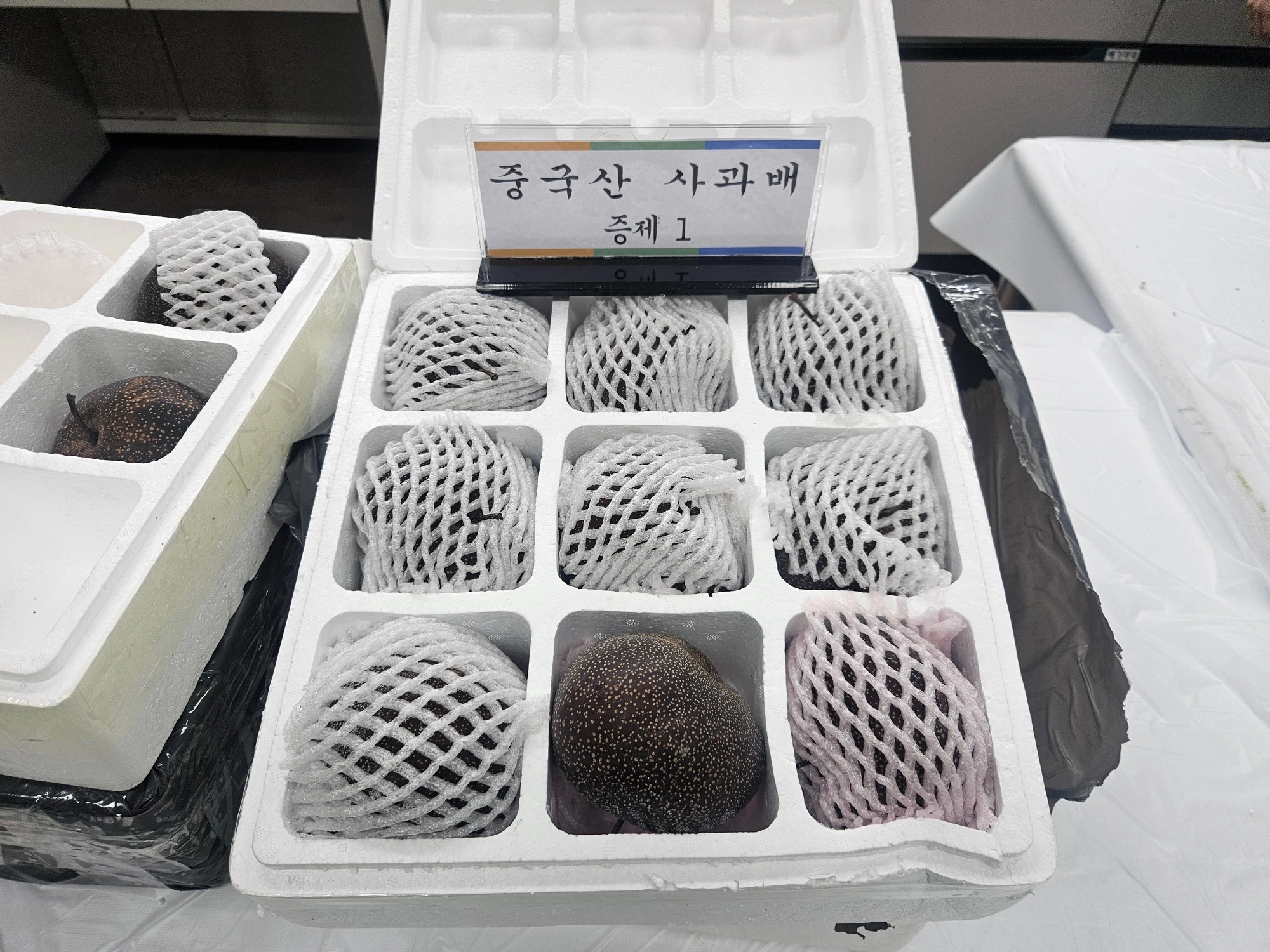 중국산 사과배(수입금지품) 적발 관련 사진. 농림축산식품부 제공