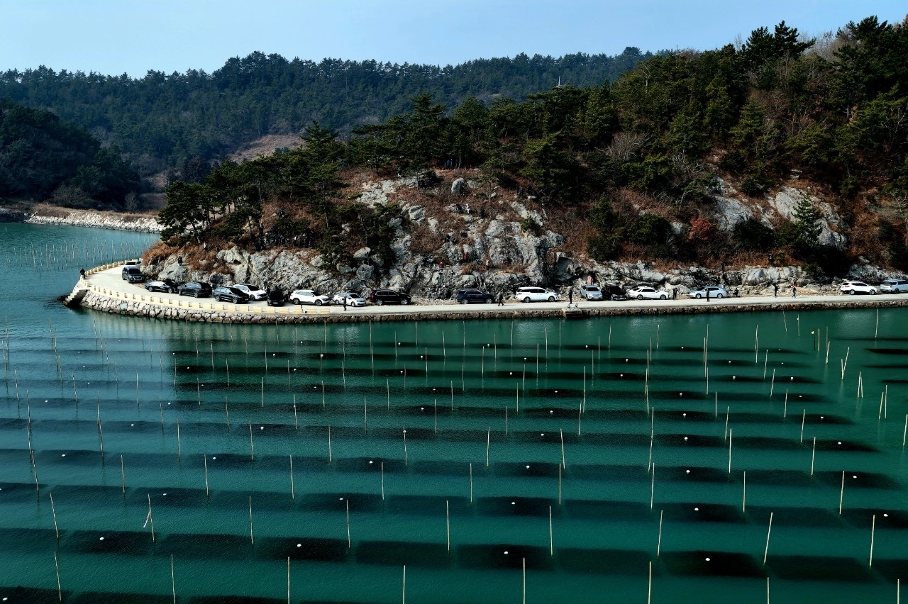 장흥 대덕 옹암마을 매생이 양식장