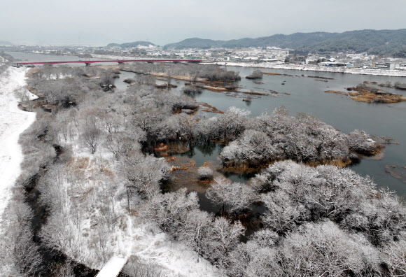 소양강에 눈꽃 활짝
