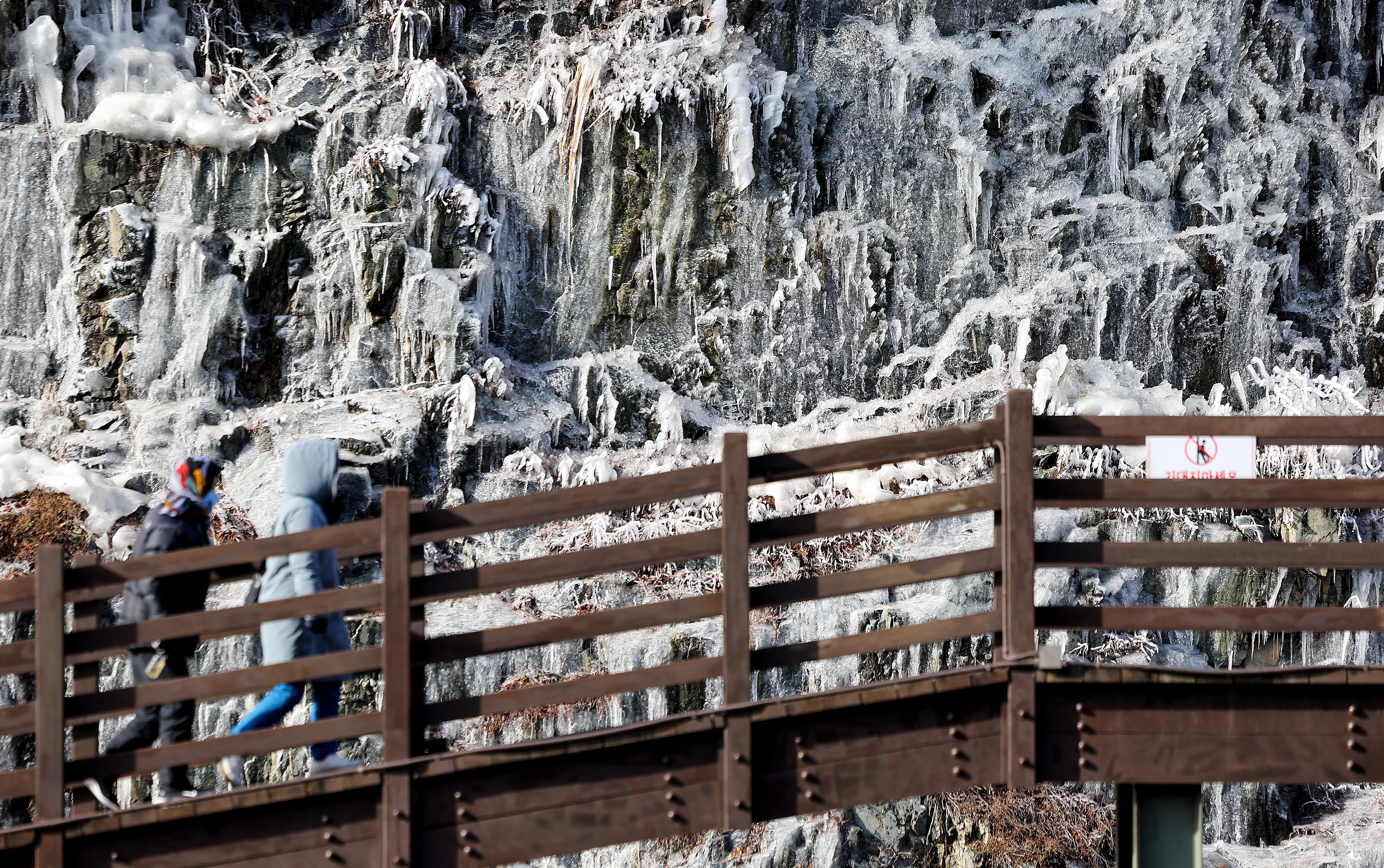 24절기 중 마지막 절기 대한(大寒)인 20일 대구 달성군 송해공원 산책로 옆에 거대한 빙벽이 만들어져 장관을 이루고 있다. 2026.01.20. 뉴시스