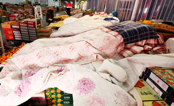 매서운 추위, 이불 덮은 과일들