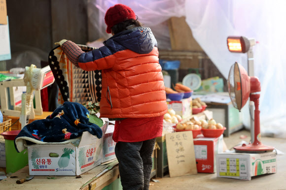 강추위에 채소 얼어버릴까 걱정