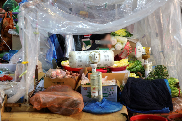 비닐천막 아래서 녹여보는 손