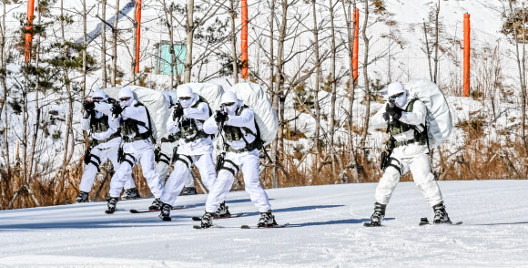 육군 특전사는 지난 1월부터 오는 2월까지 부대별 11박 12일 일정으로 강원도 대관령 황병산 일대 동계훈련장에서 설한지 극복훈련을 실시하고 있다고 22일 밝혔다. 육군 특전사 장병들이 스키를 활용한 전술기동을 실시하고 있다. 2026.1.22 육군 제공