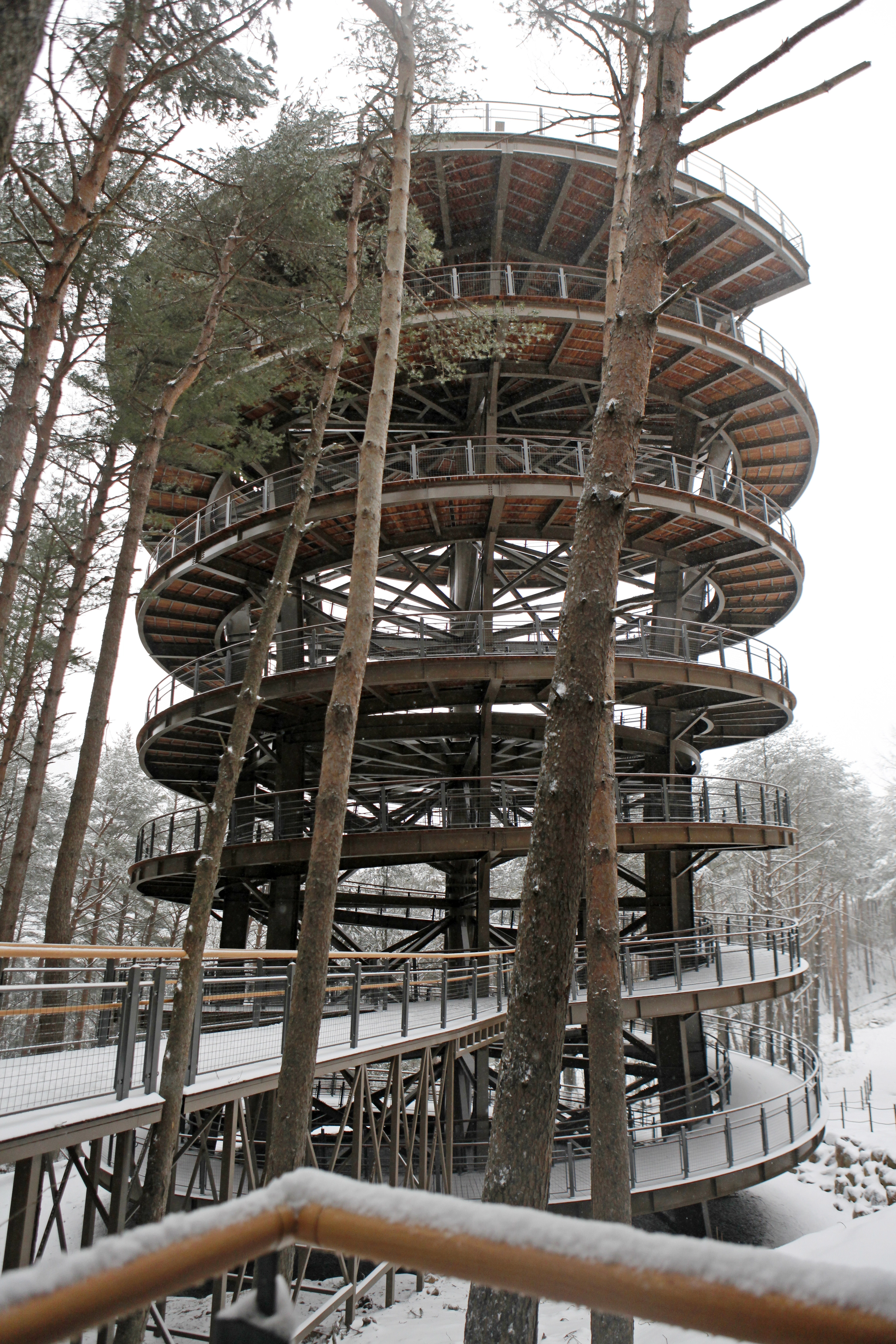 높이 33m의 ‘태백산 하늘전망대’는 야생식물 하늘나리를 형상화했다.
초록뿔언덕 제공