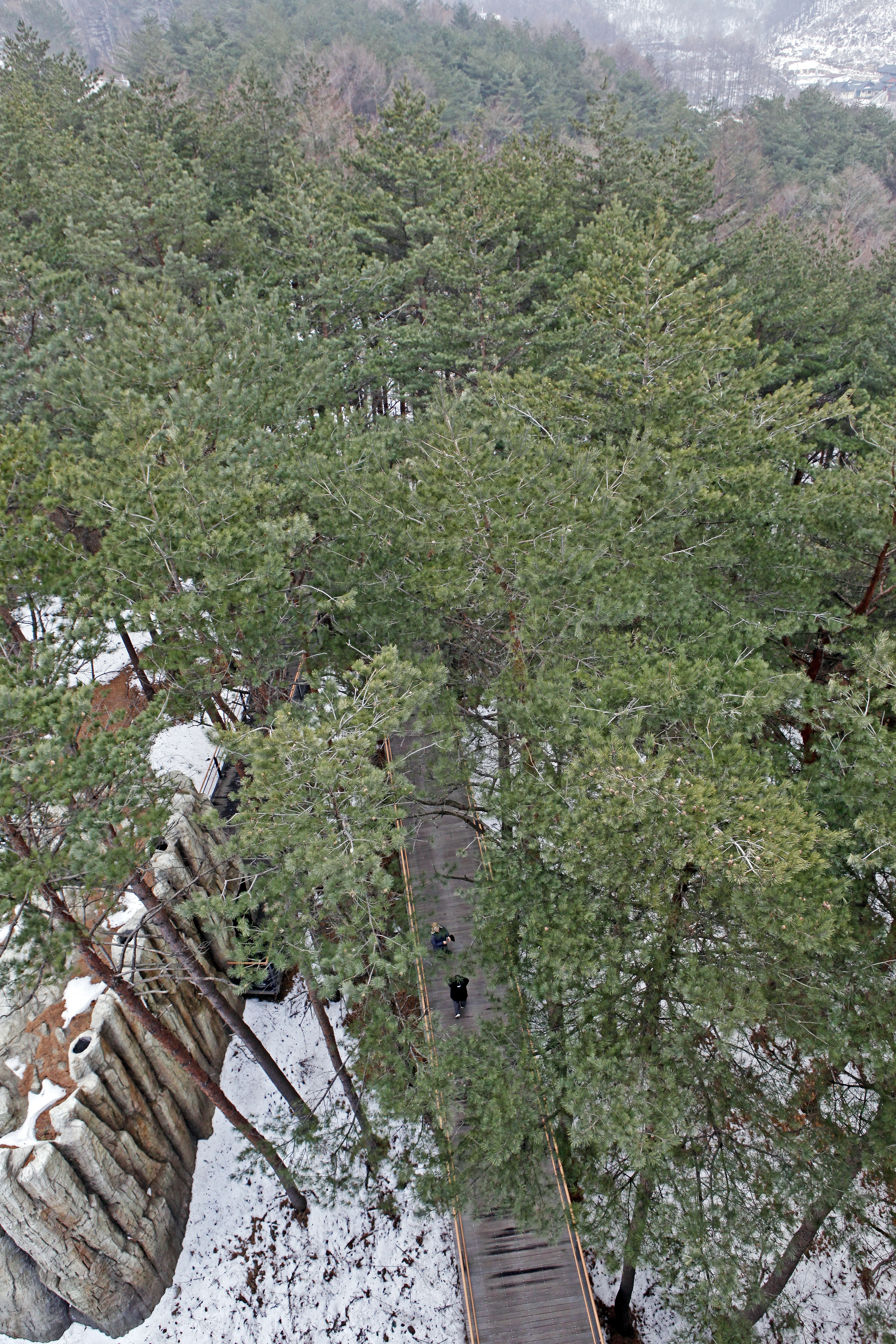 태백산 하늘전망대에서 내려다본 전망대 진입로와 동굴영상관의 모습.
초록뿔언덕 제공