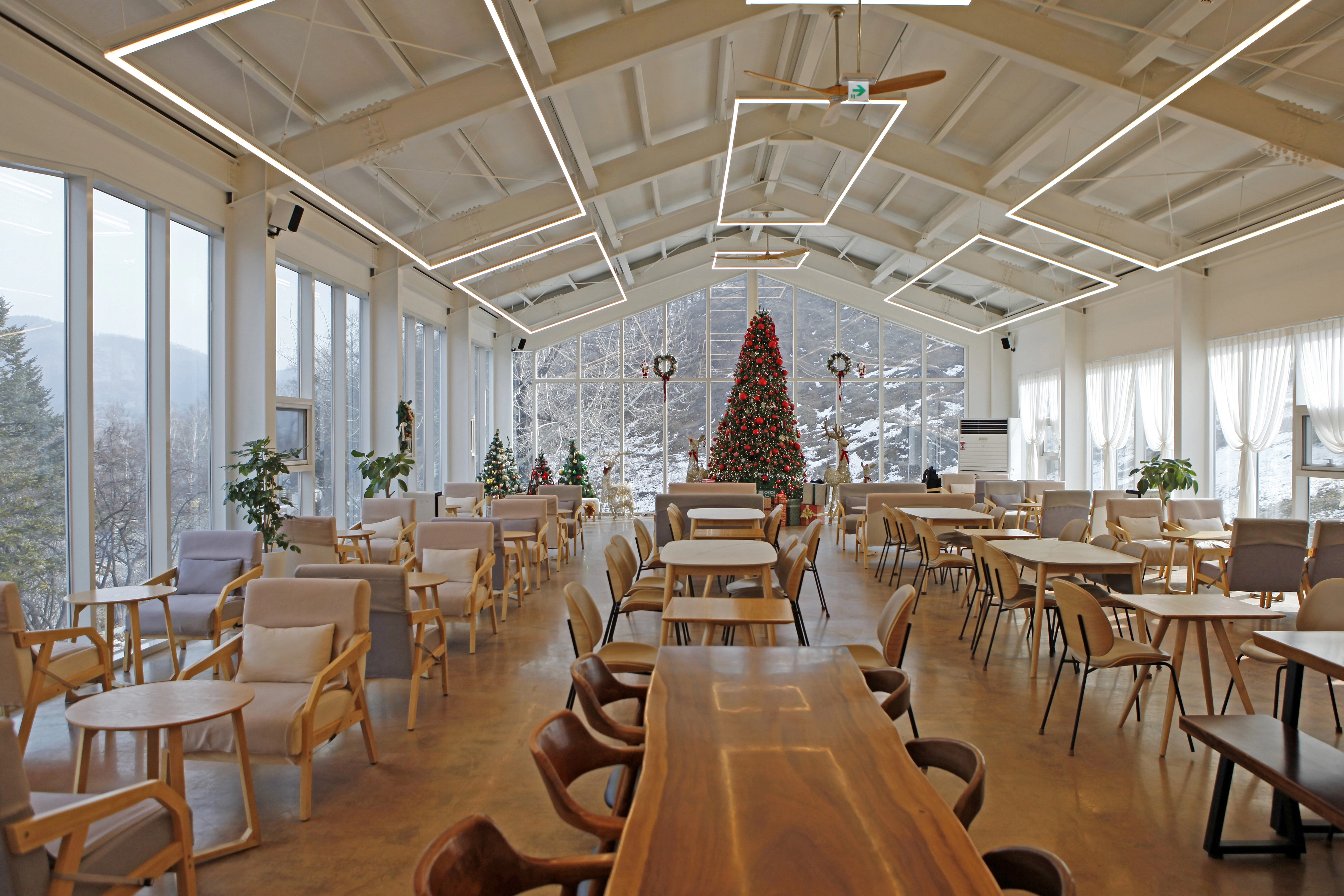 초록뿔언덕 카페는 사면이 유리창으로 돼 있어 사슴농장뿐 아니라 태백의 겨울 산세를 감상할 수 있다.
초록뿔언덕 제공