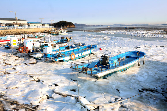 얼어붙은 예단포항