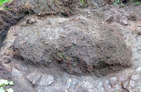 북한 노동당 기관지 노동신문은 24일 김일성종합대학 역사학부 연구집단이 백두산 일대 역사유적 조사·발굴 사업을 심화시켰다고 보도했다. 이들은 러시아 노보시비르스크 국립종합대학과 공동으로 유골들에 방사성 탄소연대 측정을 진행해 무덤 주인들이 대체로 19세기 중엽에서 19세기 사람들이라는 것을 입증했다고 신문은 전했다. 2026.01.24 평양 노동신문 뉴스1