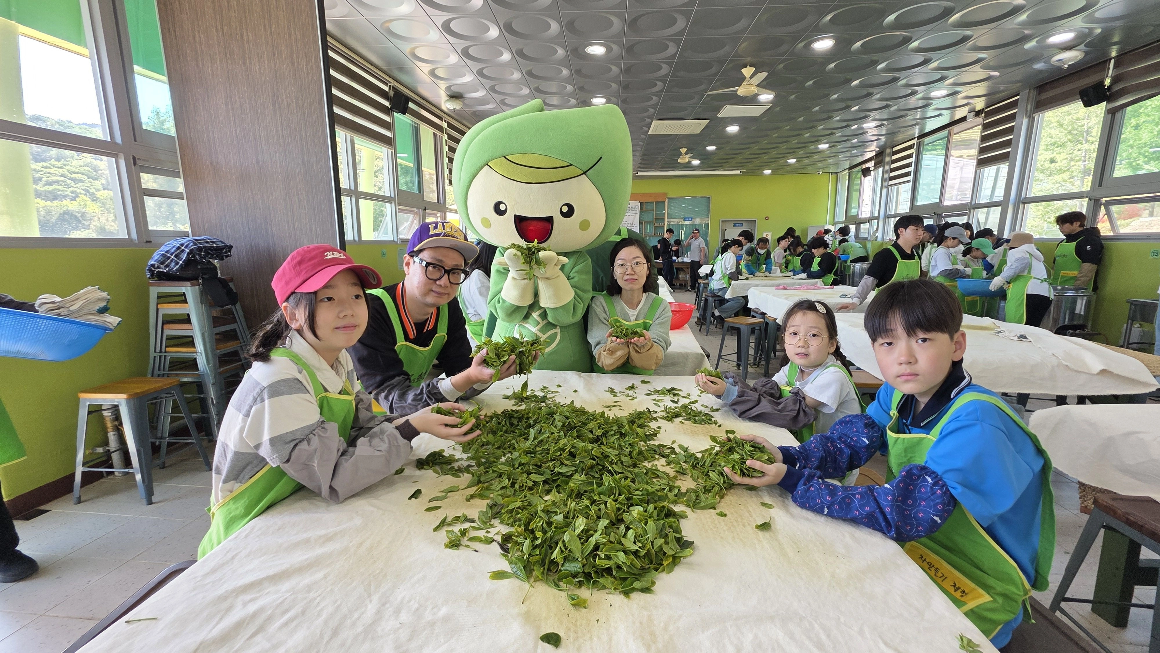 지난해 5월 열린 제48회 보성다향대축제