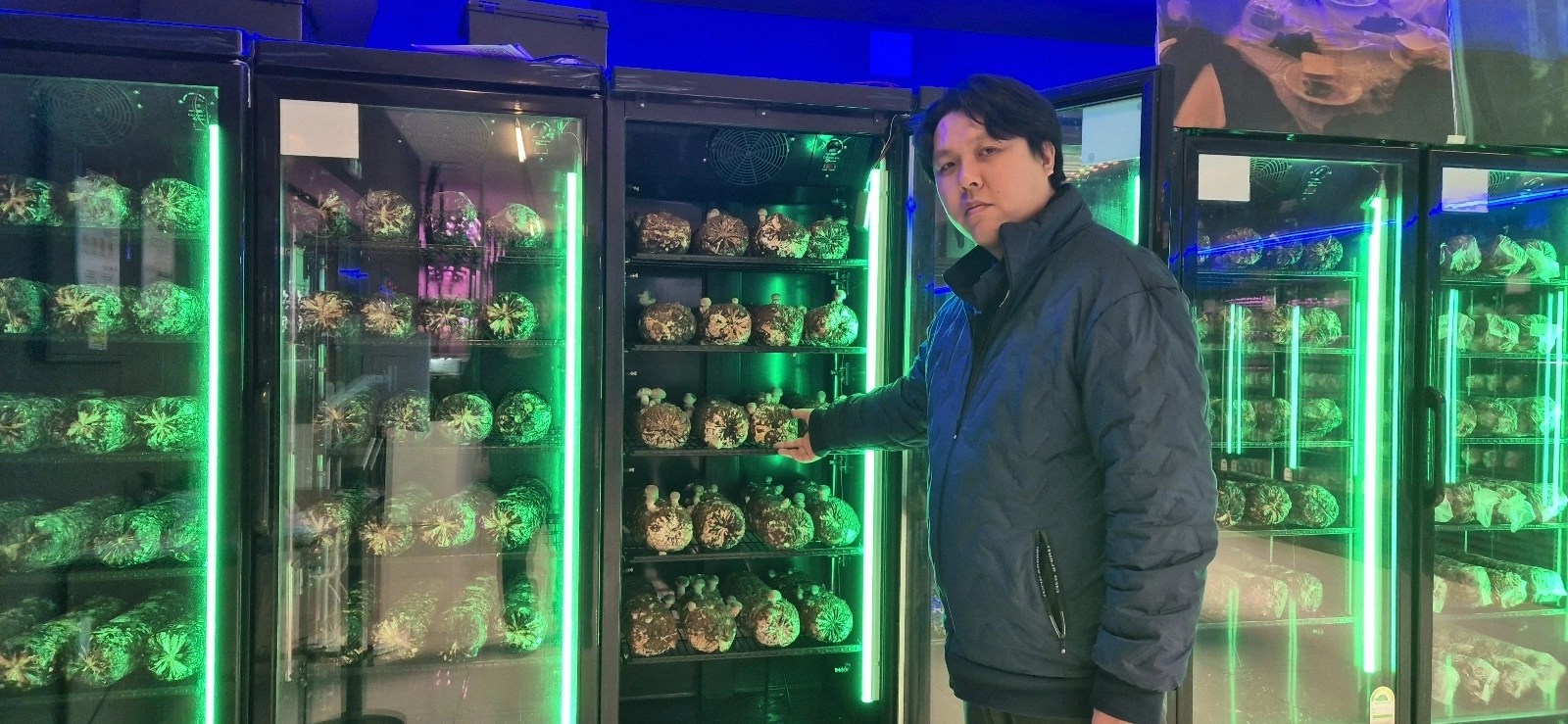 임현구 둥구나무 대표가 송화 버섯 배지를 냉장고에서 키우는 기술을 설명하고 있다.