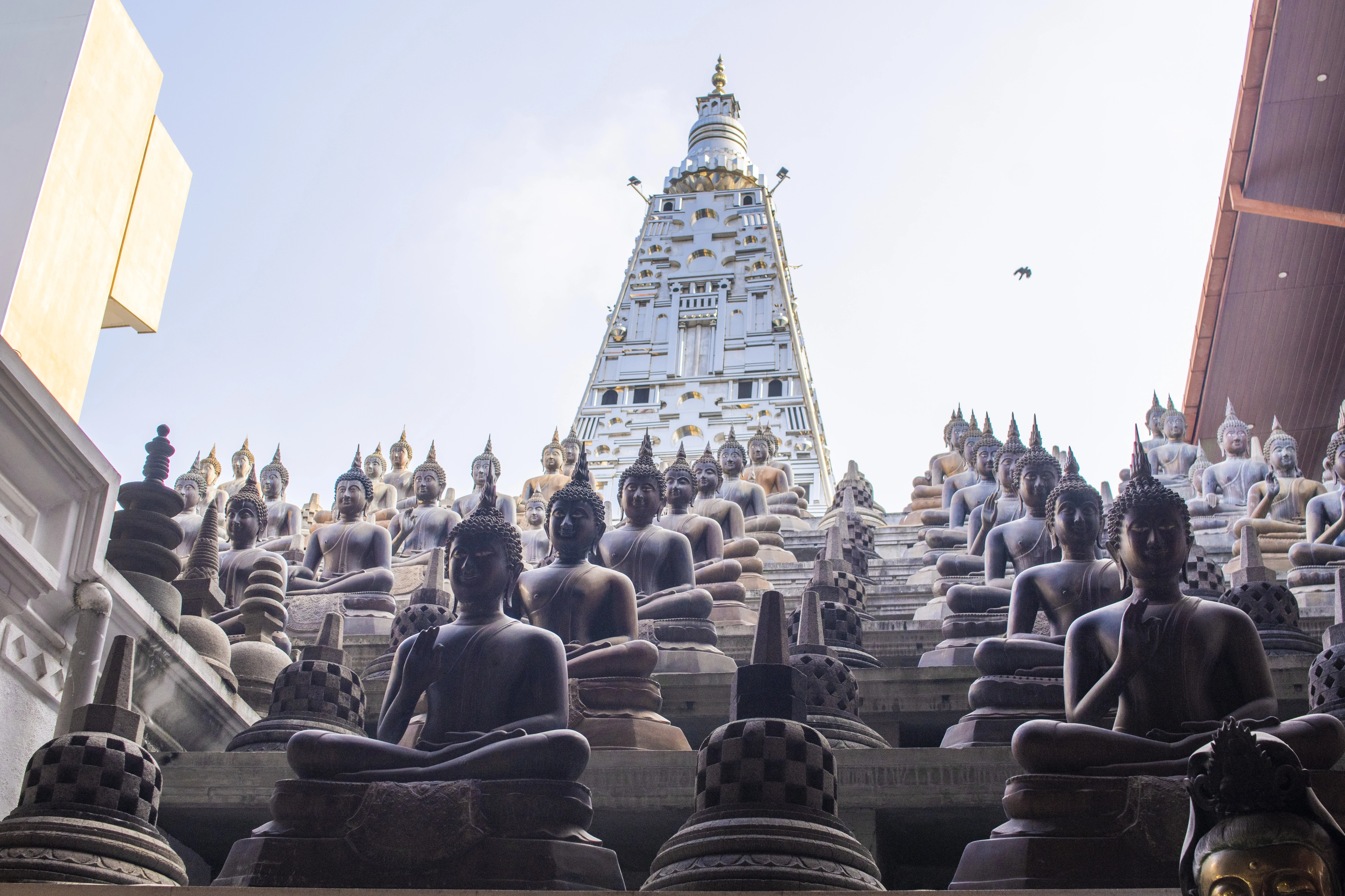 수도 콜롬보의 강가라마야 사원에 놓인 수많은 불상.